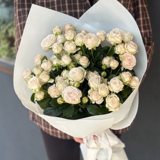 15 світлих півонієподібних троянд з пакуванням