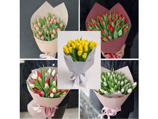 35 тюльпанів (колір на вибір)