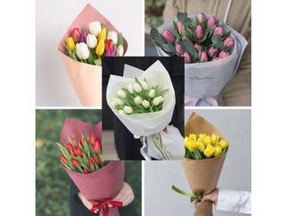 15 тюльпанів (колір на вибір)