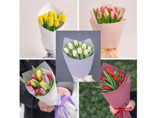 11 тюльпанів (колір на вибір)