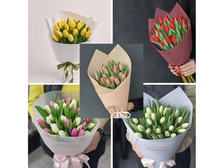 25 тюльпанів (колір на вибір)