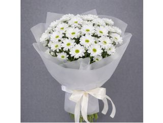 Букет з 11 ромашкових хризантем