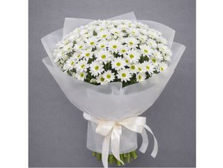 Букет з 15 ромашкових хризантем