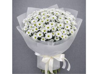 Букет з 25 ромашкових хризантем