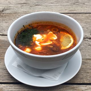 Солянка (300/30)