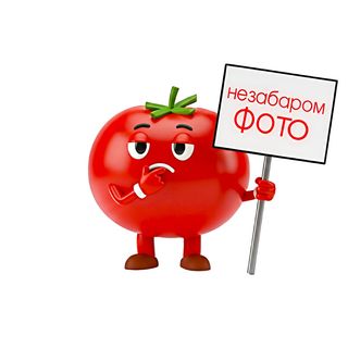 Локшина фунчоза з кальмаром (340г)