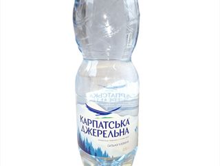 Карпатська джерельна (0.5) Газована