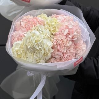 Гортензія 5 шт