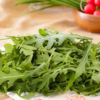 Рукола