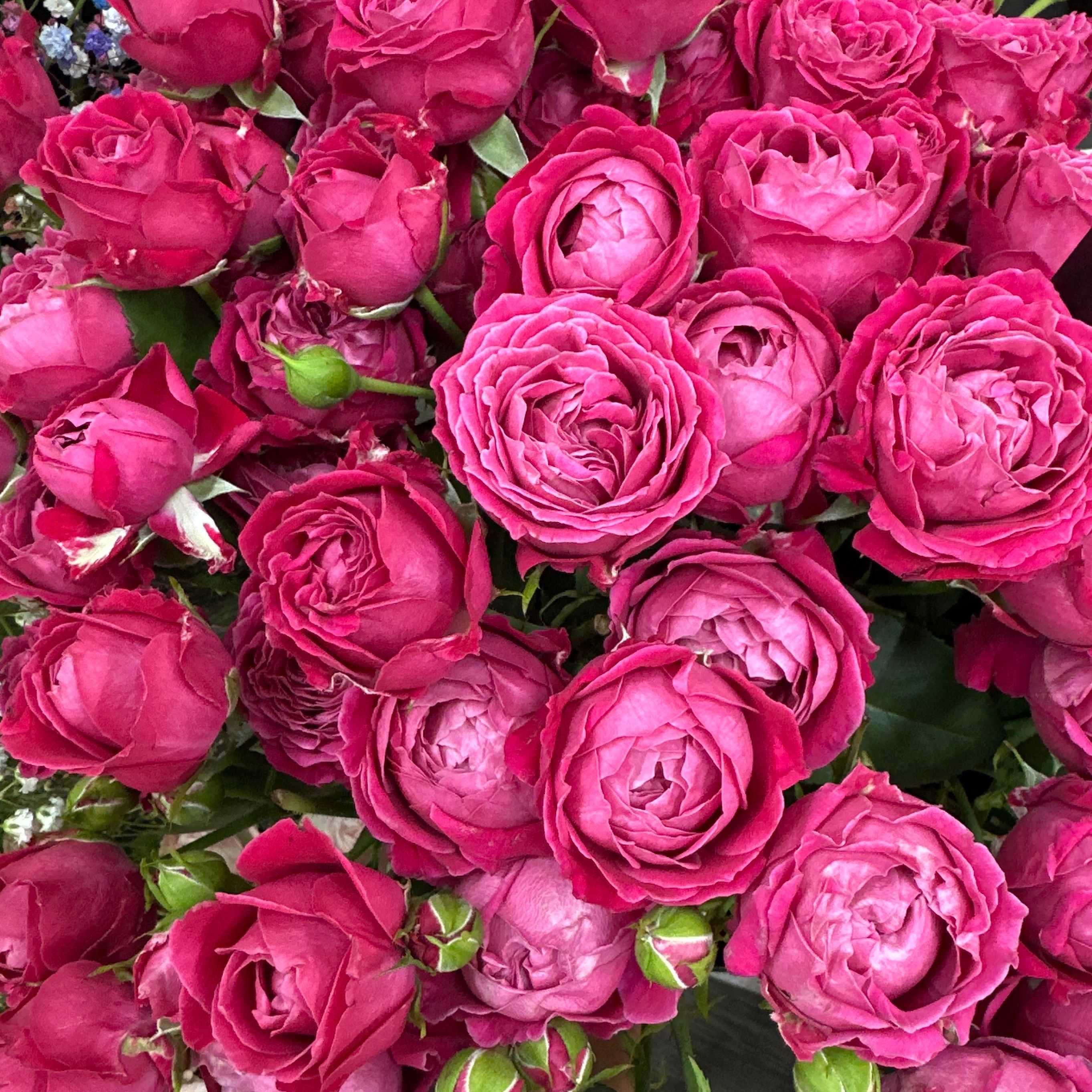 КВІТИ ПОШТУЧНО