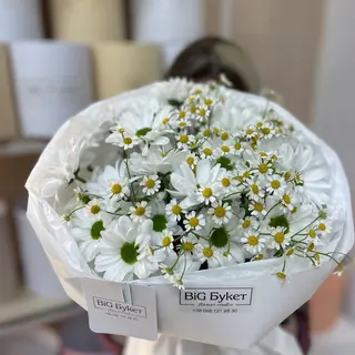 Букет ромашка і танацетум