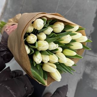 Тюльпан місцевий