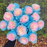 Барби троянда Эквадор 15шт