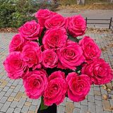 Фул Монти троянда Эквадор 15шт