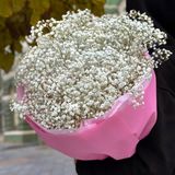 Гипсофил белый букет