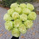 Лимонад троянда Эквадор 15шт