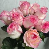 Бульвар троянда Эквадор 9шт