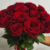 Эксплоер троянда Эквадор 15шт