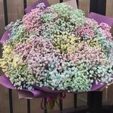 Букет з кольорової гіпсофіли