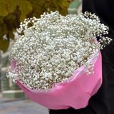 Букет з білої гіпсофіли 9веток в розовом пакуванні