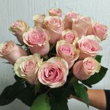 Фрутетта  троянда Эквадор 15шт