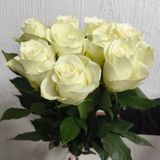 Роза Кения белая 9шт