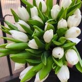 Белые тюльпаны 25шт