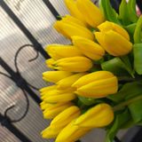 Желтые тюльпаны 25шт