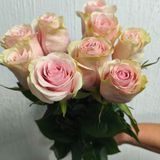 Фрутетта троянда Эквадор 9шт