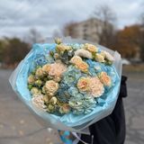 Ніжна блакить