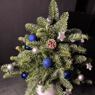 Бокс ялинка