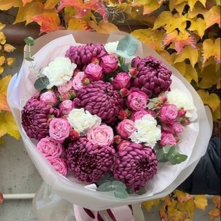 Аромат магії 