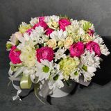 Бокс вересень