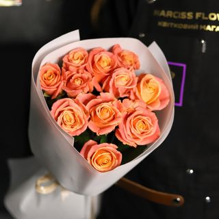 11 троянд «Піггі»