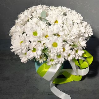 Сонечко у боксі