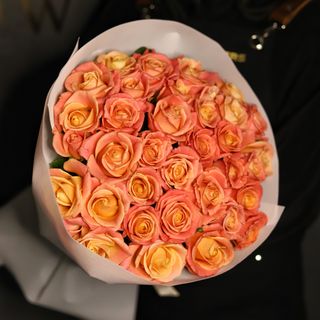 35 троянд «Піггі»