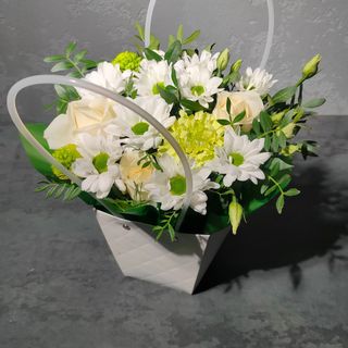 Бокс свіжість