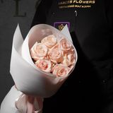 7 кімберлі пакування