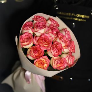 Джумілія 15 у пакуванні