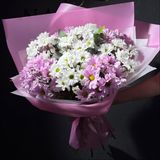 Мікс хризантем