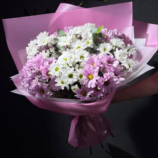 Мікс хризантем 