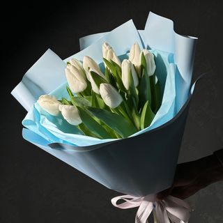 Тюльпан 11 шт