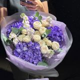 Бузкова мрія