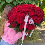 101 троянда під стрічку