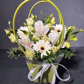 Зелений бокс