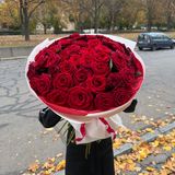 51  троянда "гран прі"