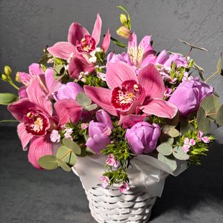 Орхідея у боксі