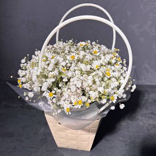 Ніжність у світлому 