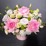 Ніжна троянда