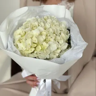 Біла гортензія